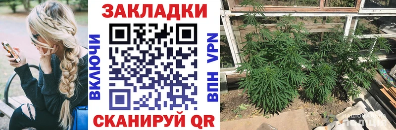 Как найти наркотики Петушки ГАШ OMG ONION COCAIN МЕФ АМФ Марихуана Альфа ПВП